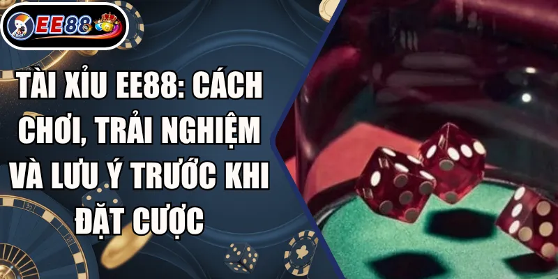 Tài Xỉu EE88: Cách Chơi, Trải Nghiệm Và Lưu Ý Trước Khi Đặt Cược 3 Tài Xỉu EE88: Cách Chơi, Trải Nghiệm Và Lưu Ý Trước Khi Đặt Cược